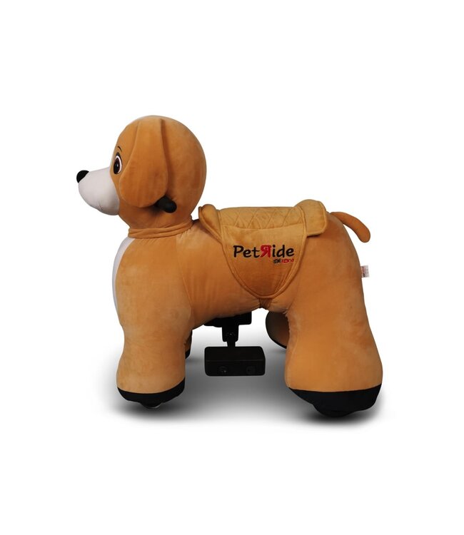 PetRide de ROLLZONE, chien de conduite électrique