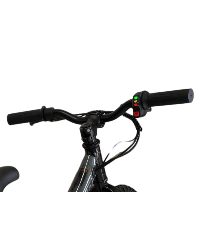 24 volt elektrische balance bike met 16 inch wielen, elektrische motor - zwart