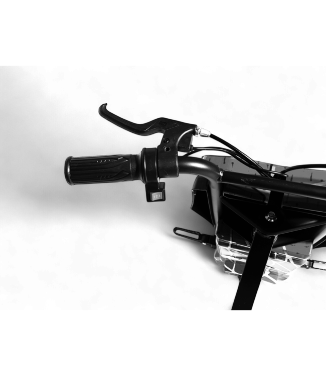 Drift Trike, Drift-Scooter 36 Volt mit einer Höchstgeschwindigkeit von 15 km/h