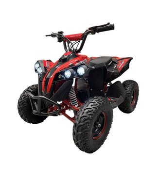 ATV Quad 48 volt 1000 watt vermogen