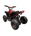 48-Volt-Elektro-Quad mit 1000-Watt-Antrieb