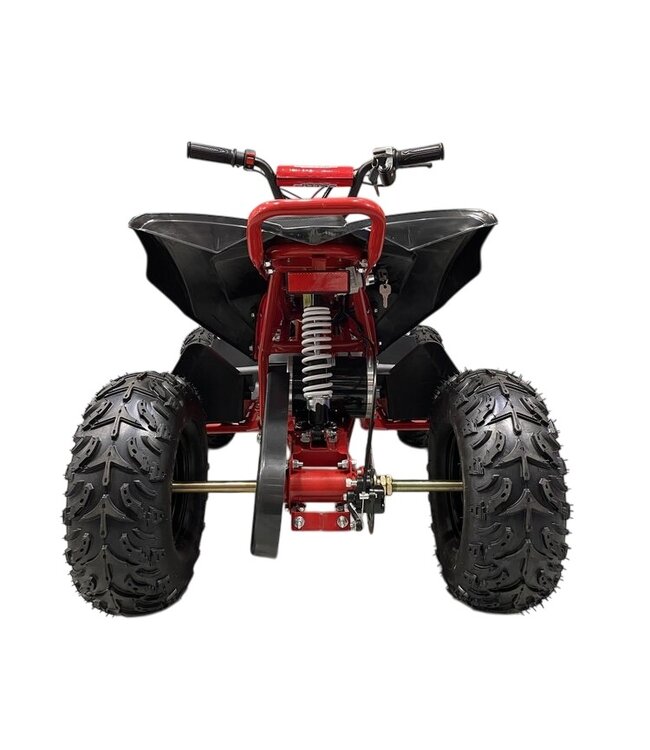 48 volt elektrische Quad met 1000 watt aandrijving