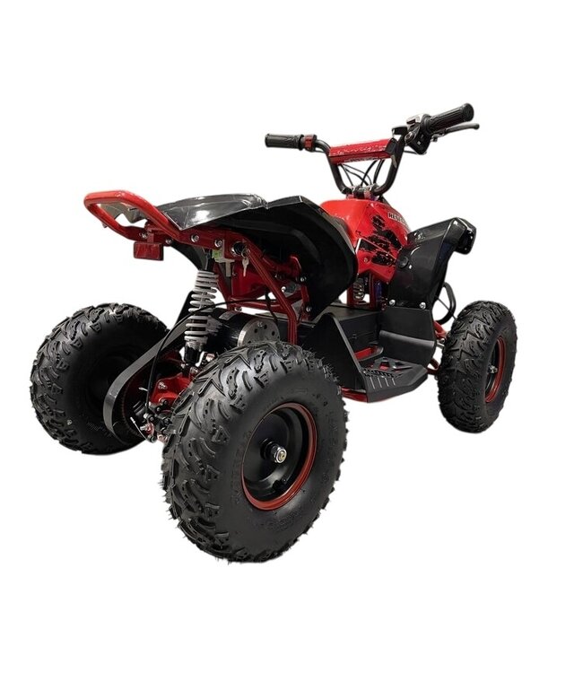 48 volt elektrische Quad met 1000 watt aandrijving
