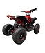 48-Volt-Elektro-Quad mit 1000-Watt-Antrieb