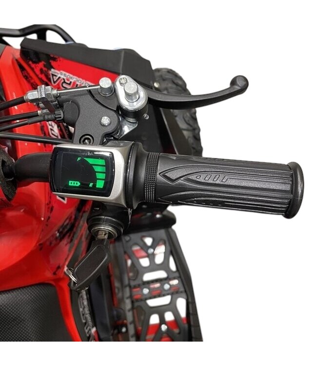 48 volt elektrische Quad met 1000 watt aandrijving