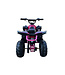 48-Volt-Elektro-Quad mit 1000-Watt-Antrieb