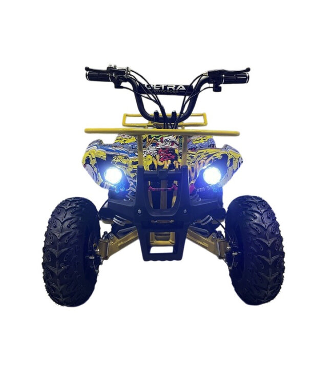 48 Volt Elektro Quad mit 1000 Watt Antrieb, mit Gepäckträger