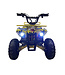 48 volt electric Quad with 1000 watt drive, with luggage rack