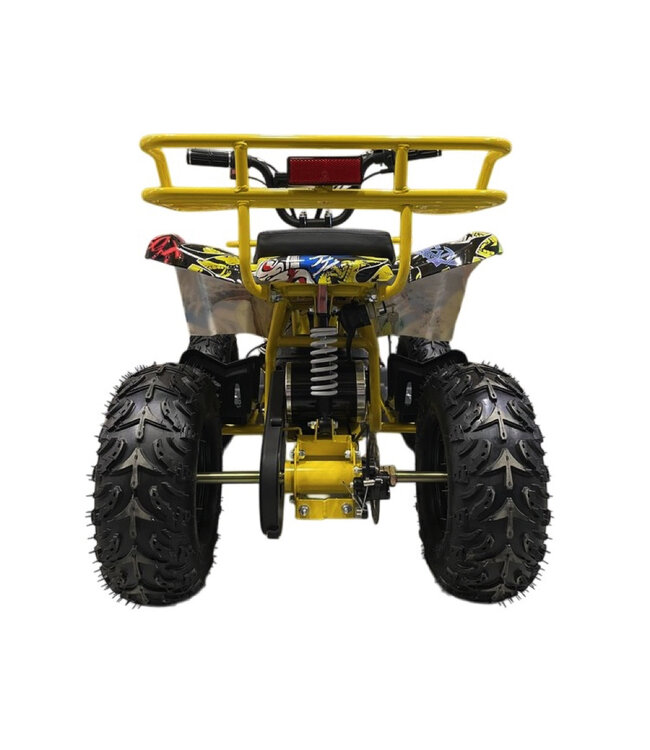 48 volt electric Quad with 1000 watt drive, with luggage rack