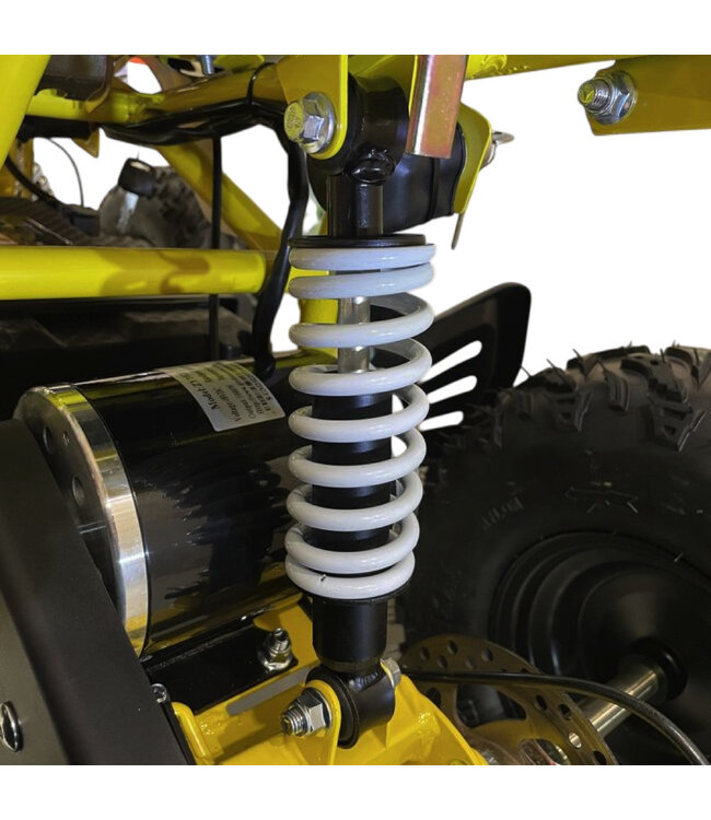 Quad électrique 48 volts avec 1000 watts de puissance, avec porte-bagages