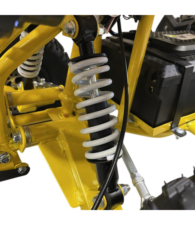 48 Volt Elektro Quad mit 1000 Watt Antrieb, mit Gepäckträger