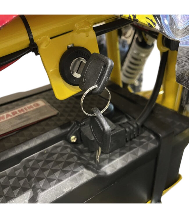 48 Volt Elektro Quad mit 1000 Watt Antrieb, mit Gepäckträger