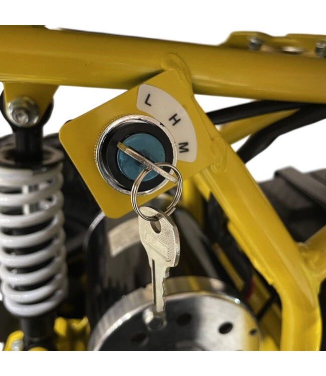 48 Volt Elektro Quad mit 1000 Watt Antrieb, mit Gepäckträger