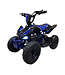 36 volt elektrische Quad met 1000 watt aandrijving