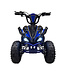 36 volt elektrische Quad met 1000 watt aandrijving