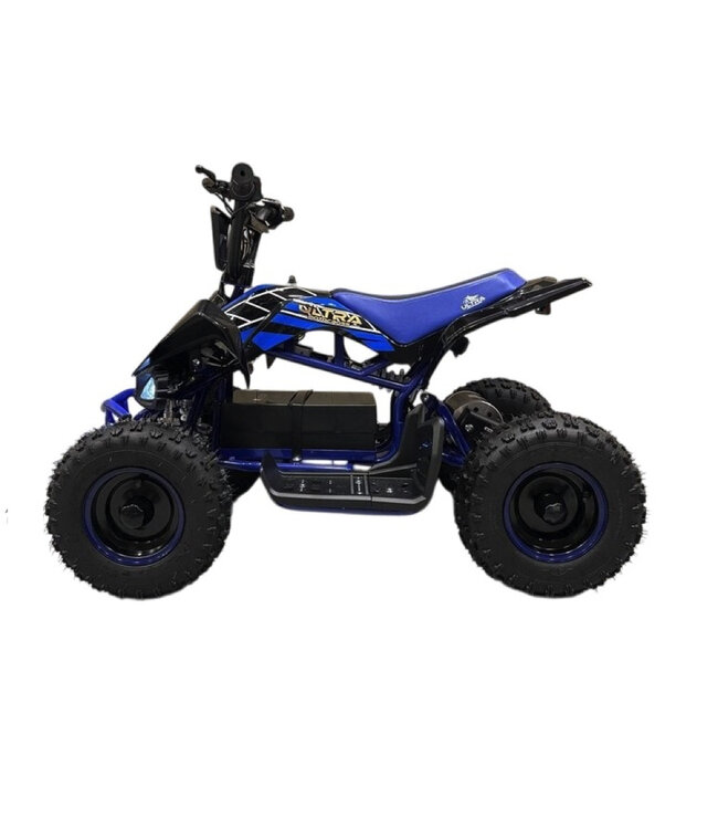 36-Volt Electric Quad with 1000-Watt Drive