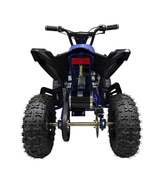 36 volt elektrische Quad met 1000 watt aandrijving