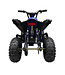 36 volt elektrische Quad met 1000 watt aandrijving