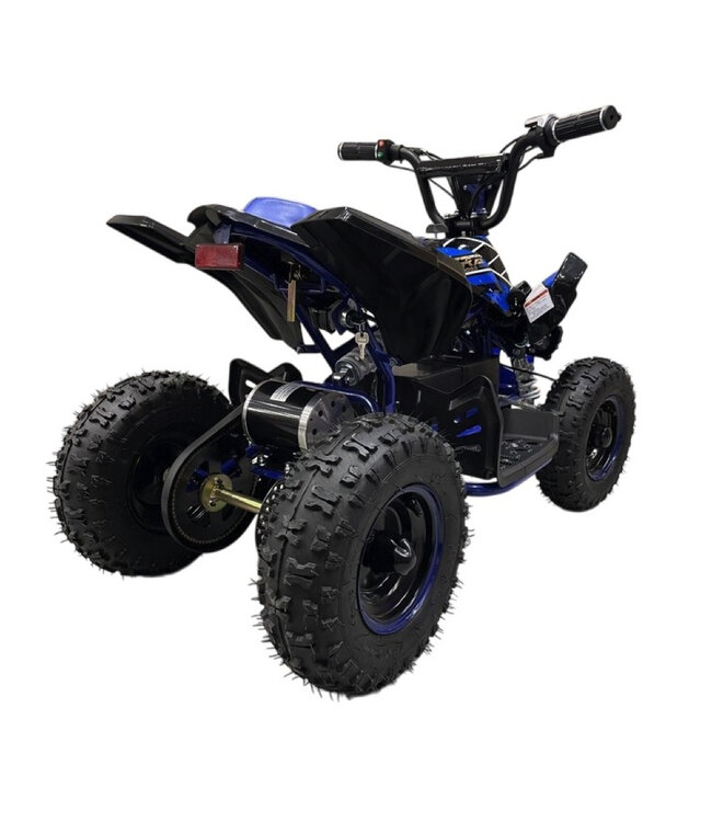36 volt elektrische Quad met 1000 watt aandrijving