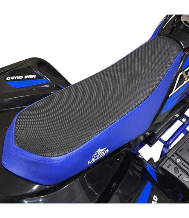 36 volt elektrische Quad met 1000 watt aandrijving