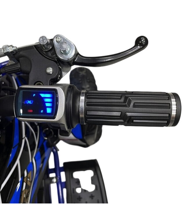36 volt elektrische Quad met 1000 watt aandrijving