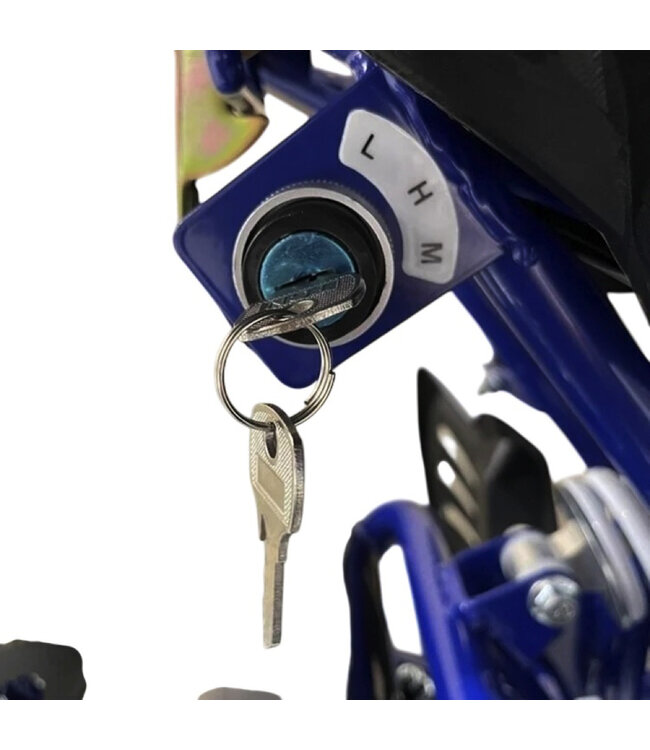 36 volt elektrische Quad met 1000 watt aandrijving
