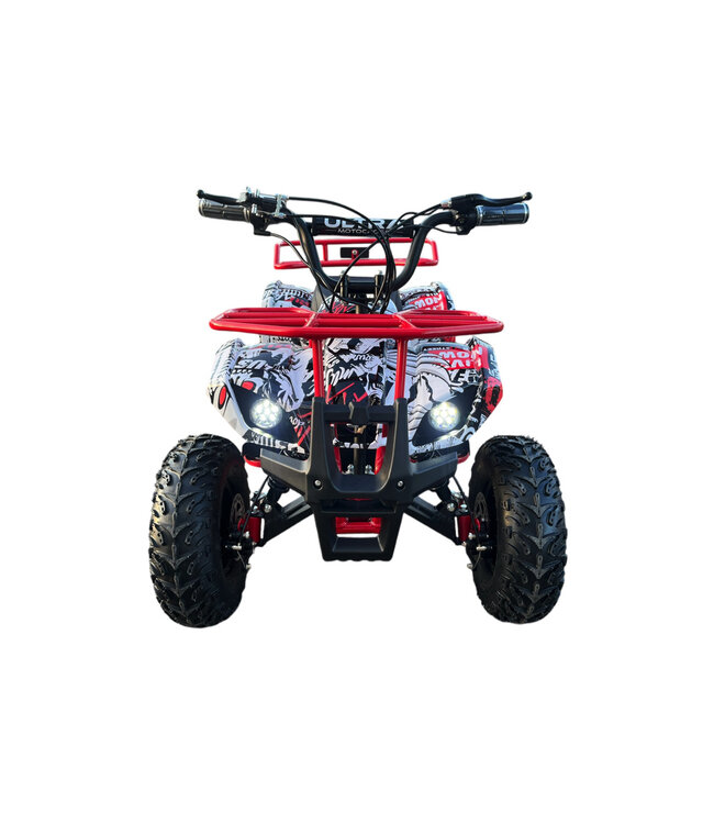 Quad électrique 48 volts avec 1000 watts de puissance, avec porte-bagages