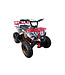 48 Volt Elektro Quad mit 1000 Watt Antrieb, mit Gepäckträger