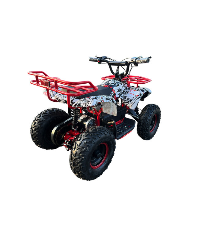 48 volt elektrische Quad met 1000 watt aandrijving, met bagagerek