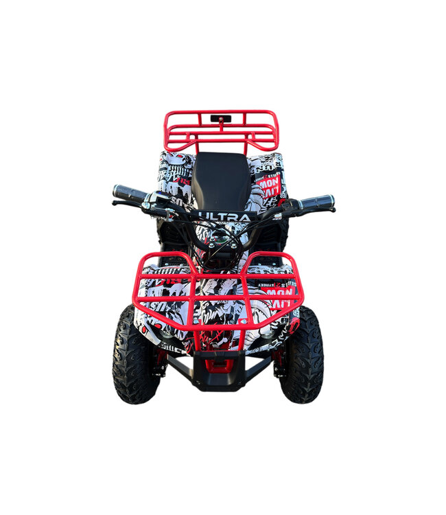 48 Volt Elektro Quad mit 1000 Watt Antrieb, mit Gepäckträger