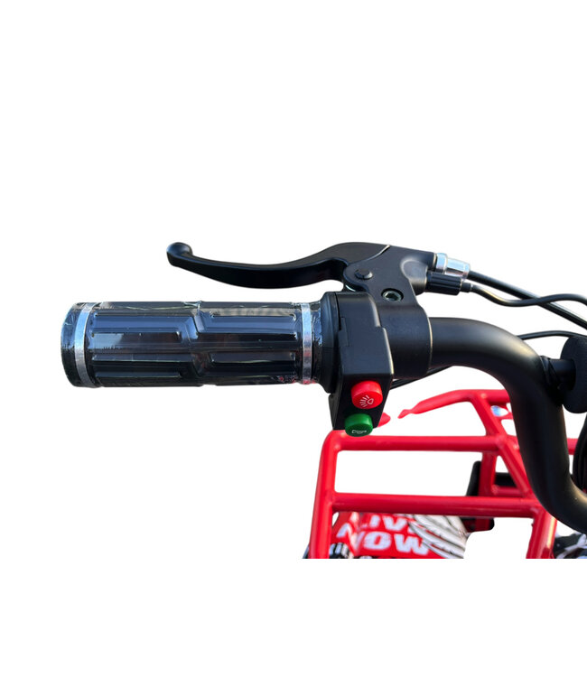 48 volt electric Quad with 1000 watt drive, with luggage rack