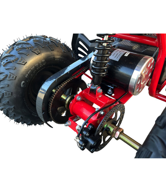 48 volt elektrische Quad met 1000 watt aandrijving, met bagagerek