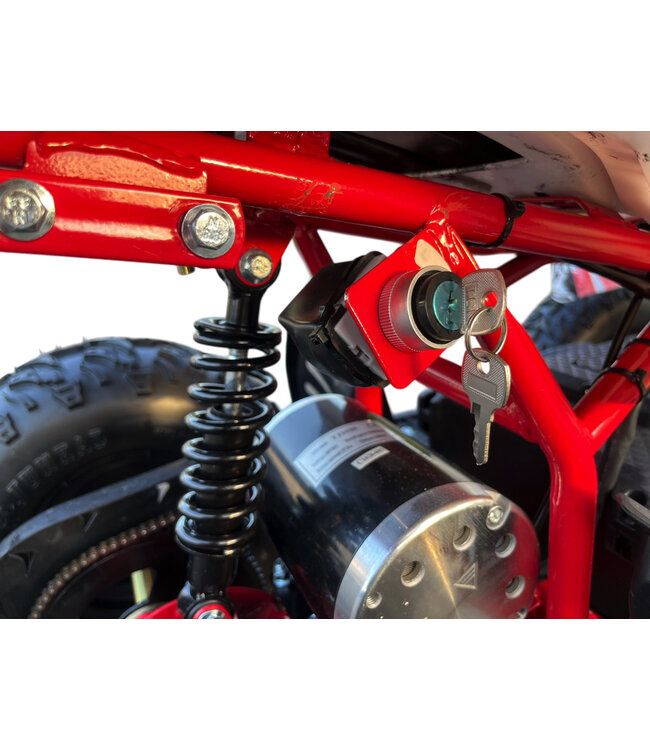 48 Volt Elektro Quad mit 1000 Watt Antrieb, mit Gepäckträger