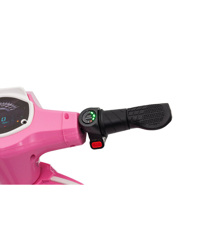 24 Volt Elektro Kinderroller mit 350 Watt Antrieb