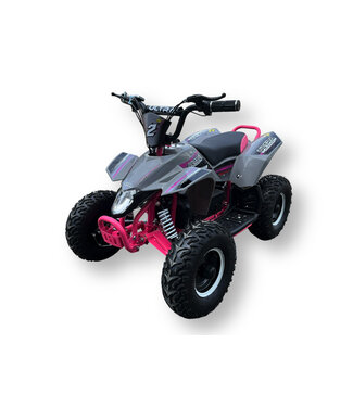 36 volts Quad 1000 watts de puissance Renouvelé !