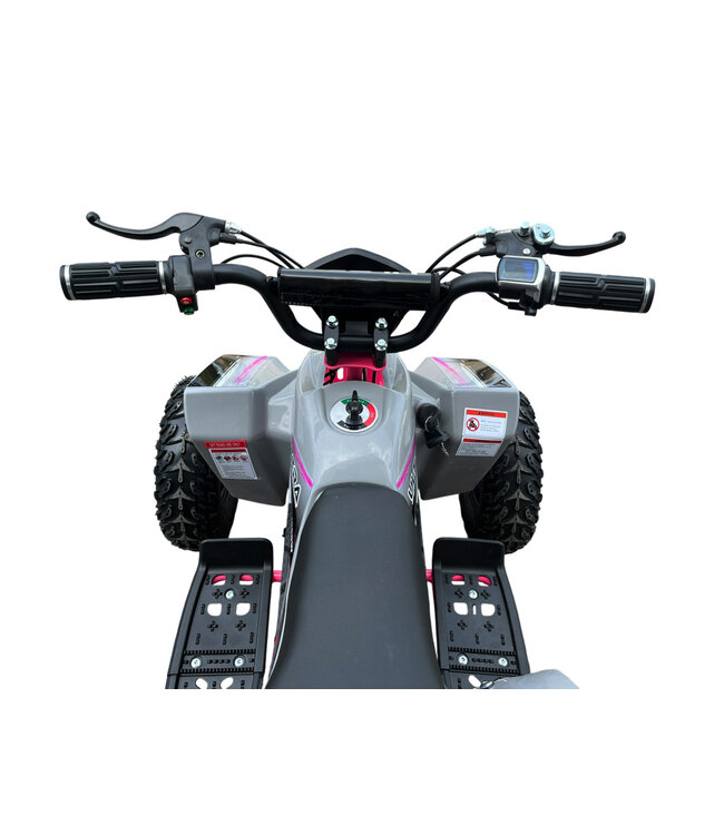 36 volt electric Quad with 1000 watt drive Renewed!