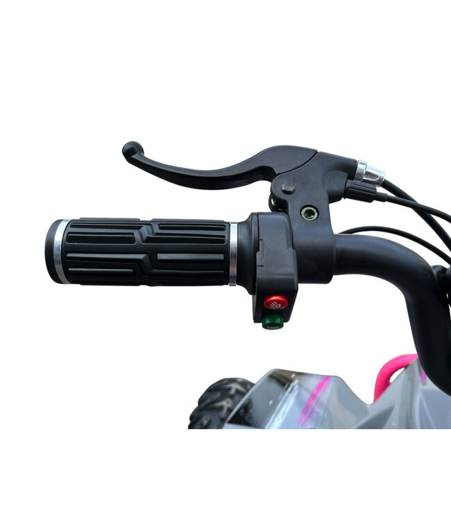 36 Volt Elektro Quad mit 1000 Watt Antrieb Überholt!