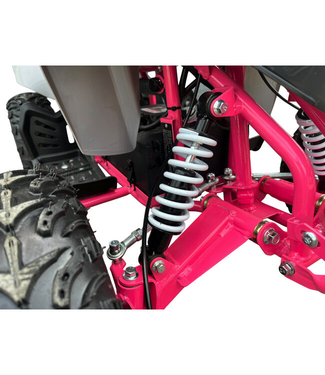 36 Volt Elektro Quad mit 1000 Watt Antrieb Überholt!