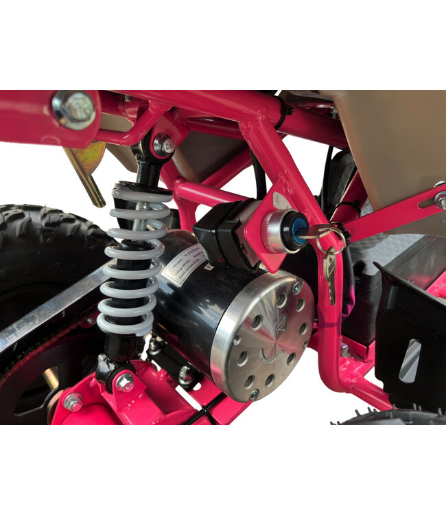 36 volt electric Quad with 1000 watt drive Renewed!