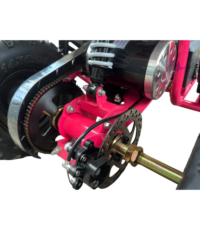 36 Volt Elektro Quad mit 1000 Watt Antrieb Überholt!