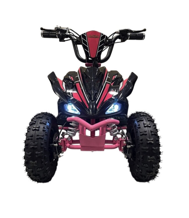 Quad électrique 36 volts avec entraînement de 1000 watts