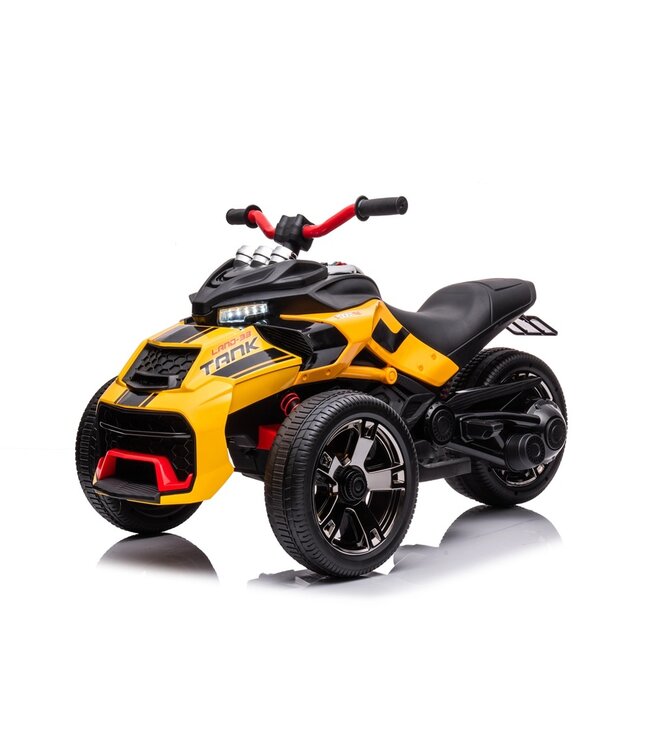 Trike Streetfighter 24V Elektrische Trike