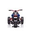 Trike Streetfighter 24V Elektrische Trike