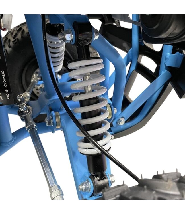 48 volt elektrische Quad met 1000 watt aandrijving, met bagagerek