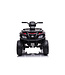 24 volt Lithium Elektrische Quad, 4 motoren, rubberen banden, leder zitting en meer!