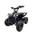 ATV Quad 48 Volt 1000 Watt Power