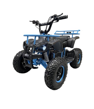 48 volt Quad 1000 watt power, with luggage rack