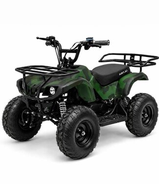 48 volt Quad 1000 watt vermogen, met bagagerek
