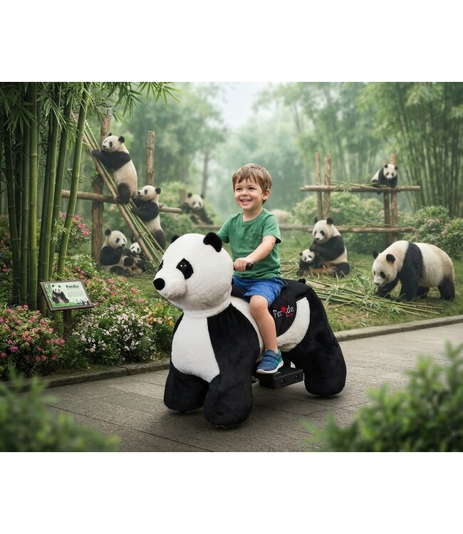 PetRide par ROLLZONE, Panda à conduite électrique