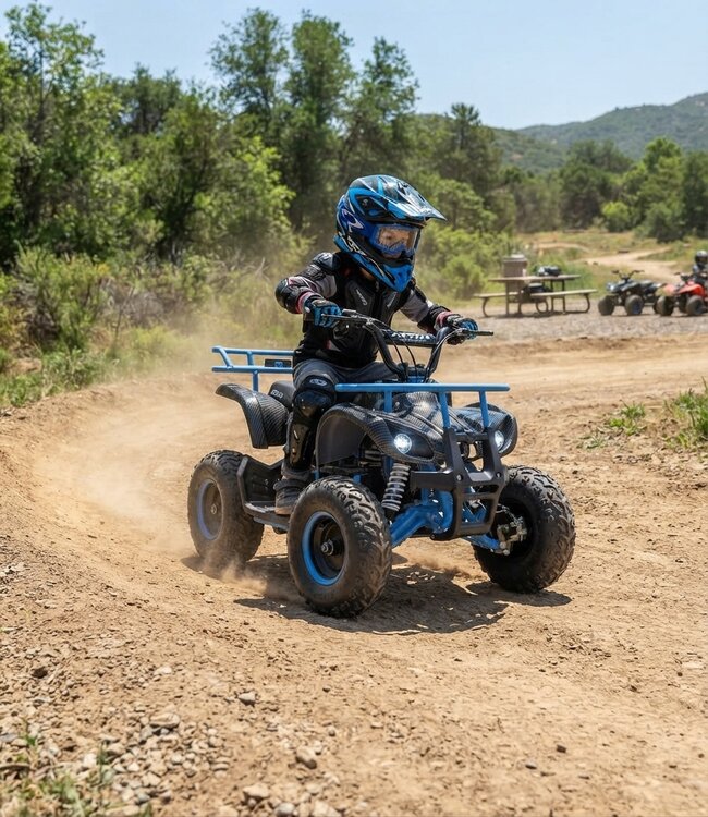 48 Volt Elektro Quad mit 1000 Watt Antrieb, mit Gepäckträger
